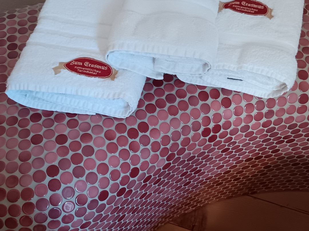 Turmhotel Erasmus主图