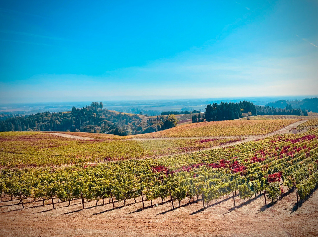 Main Street Drivers-斯坦福必去景点