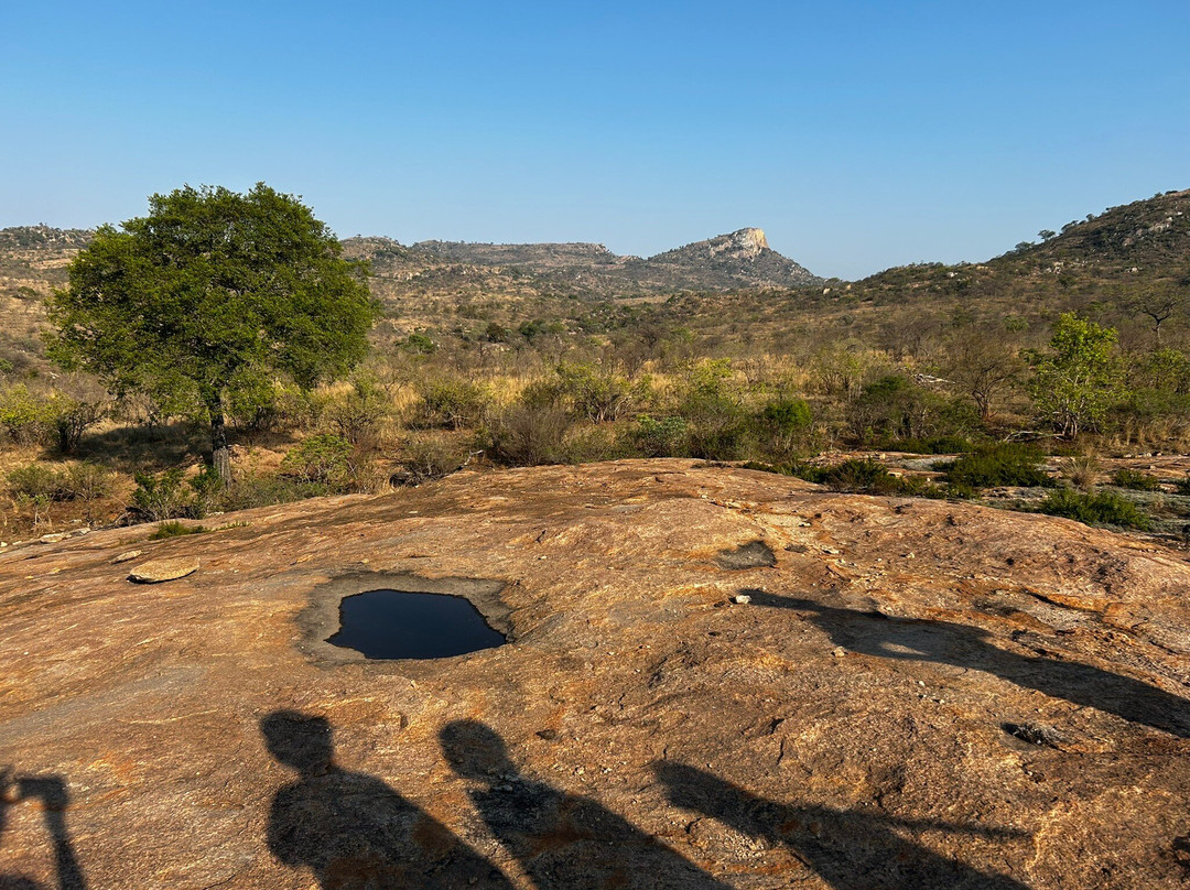 Wolhuter Wilderness Trail-克鲁格国家公园必去景点