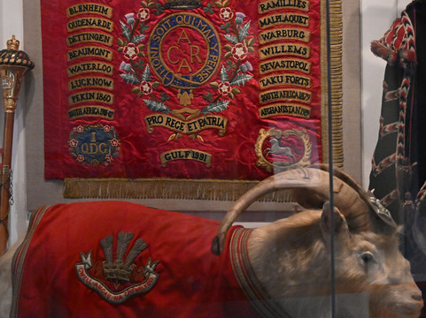 Firing Line Museum of The Queen's Dragoon Guards and The Royal Welsh at Cardiff Castle-卡迪夫必去景点