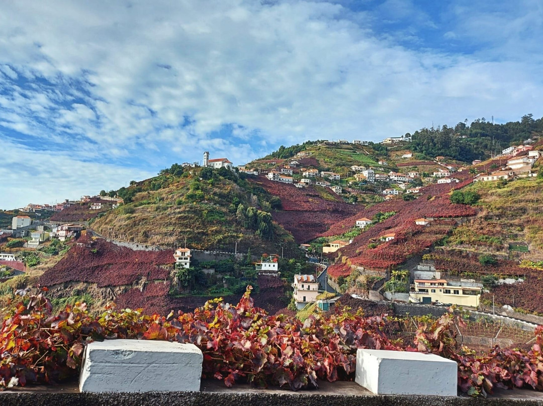 Discovering Madeira One Day Wine Tour-马德拉群岛必去景点