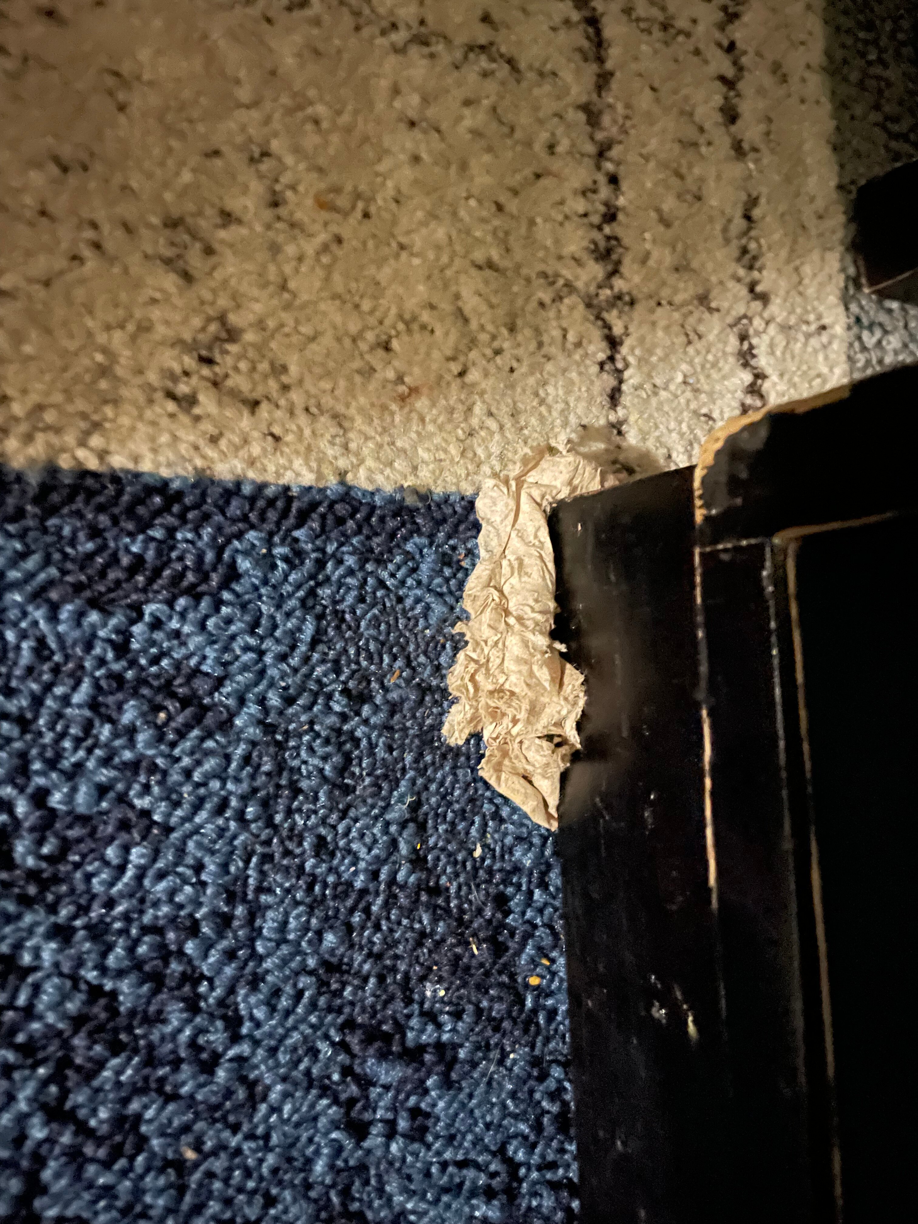 博柔温德姆花园酒店-客卧