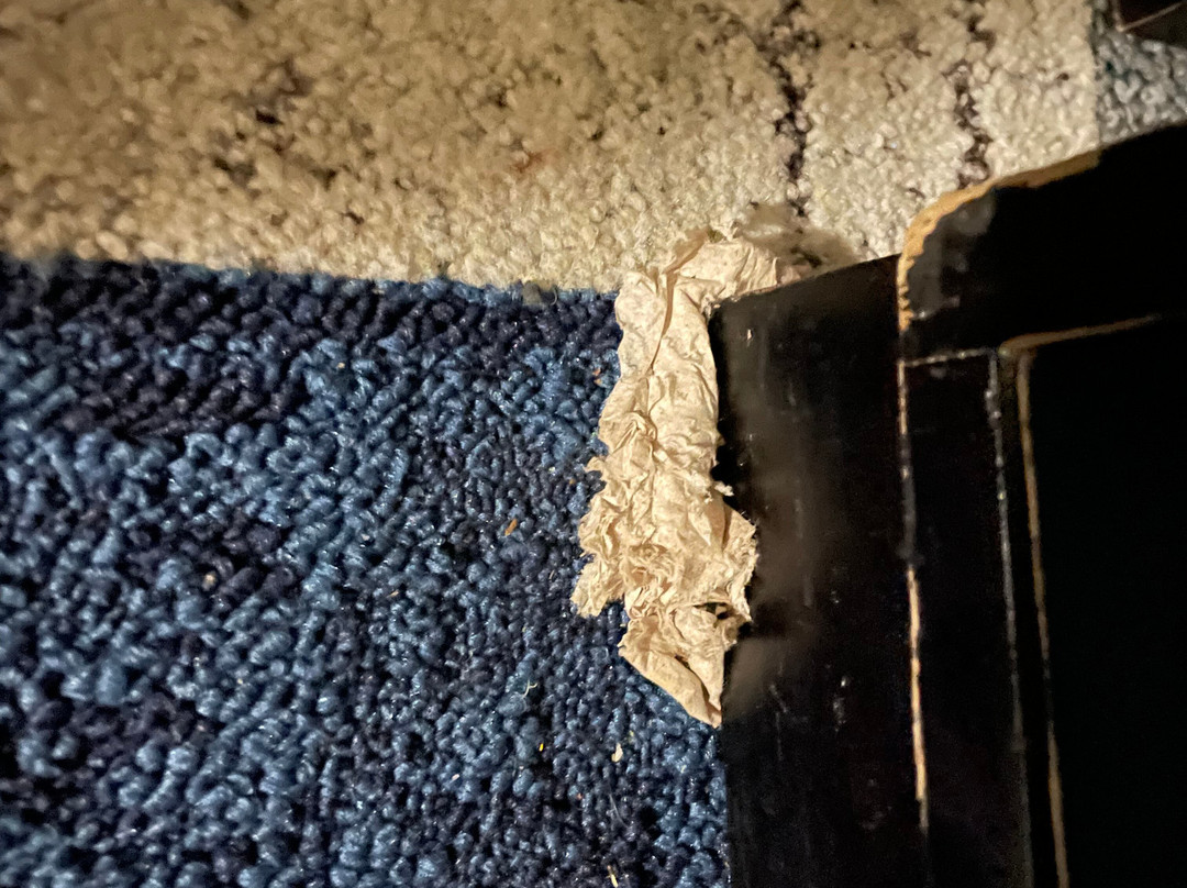 博柔温德姆花园酒店主图