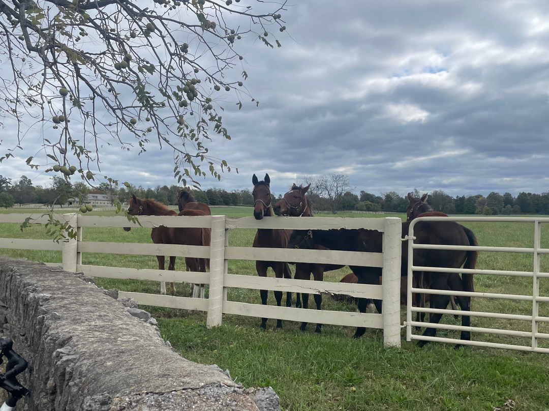 Timberline Adventures-博尔德必去景点