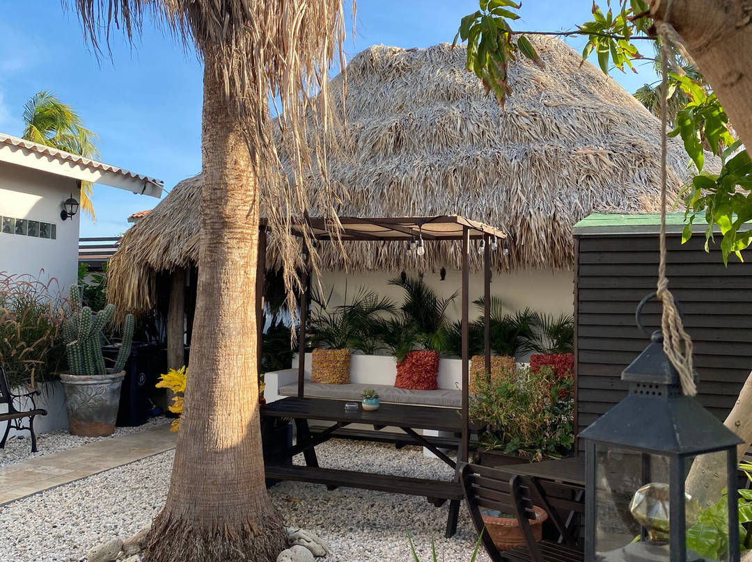 Aruba Lagunita主图