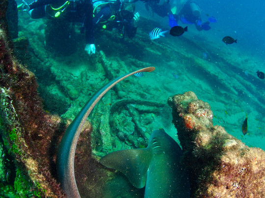 Sea Paradise-费尔南多-迪诺罗尼亚群岛必去景点