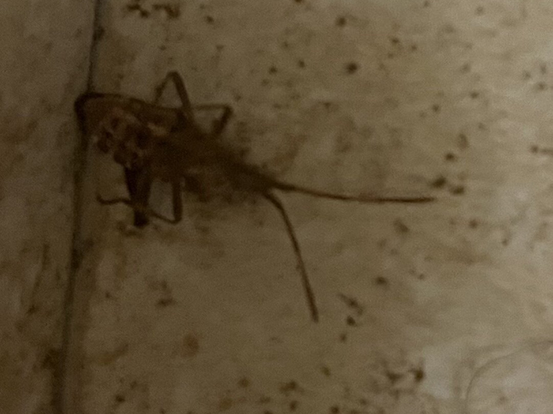 Holiday Inn Express & Suites Lansing-dimondale By IHG主图