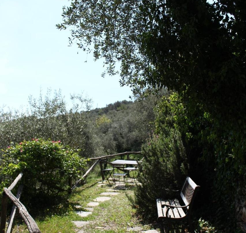 Il Cavedano Innamorato