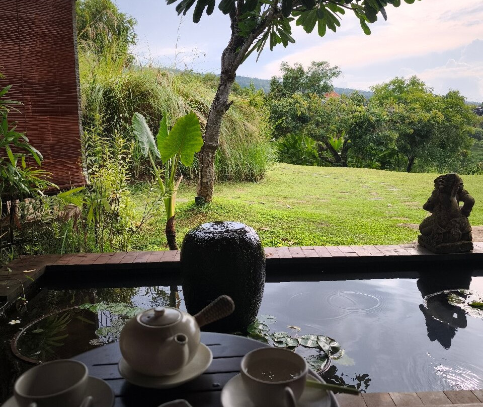 The Damai Spa景点图片
