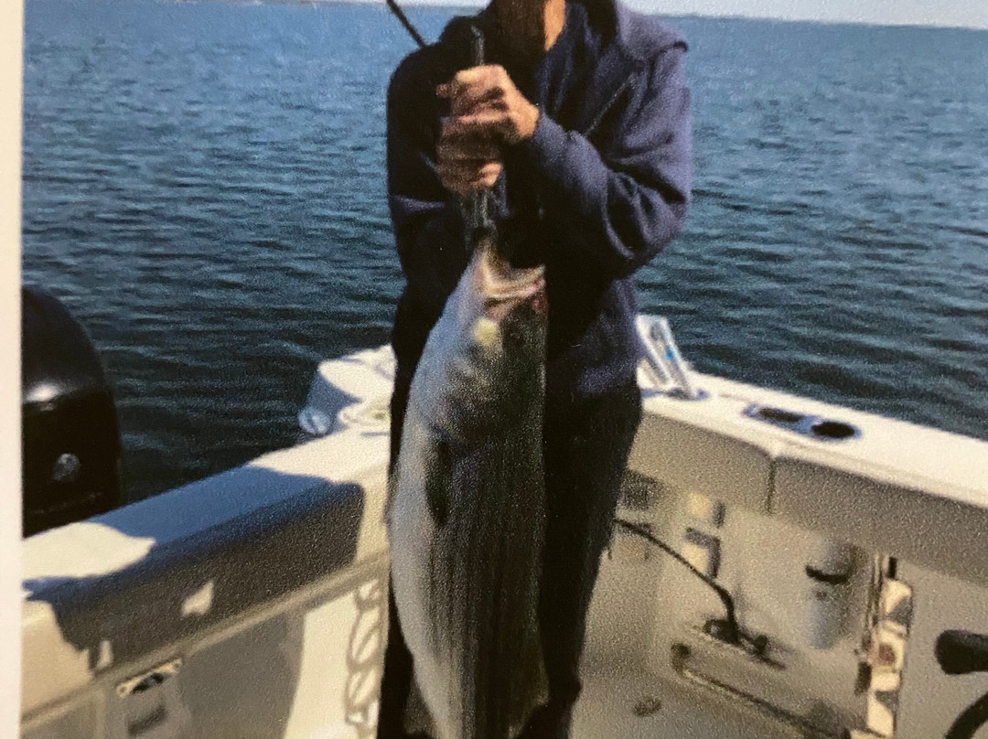 Island Current Fleet-City Island必去景点