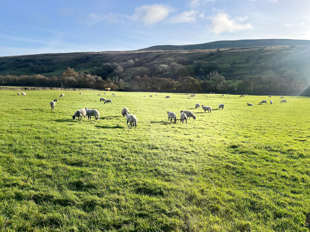 Kearton Country Hotel主图