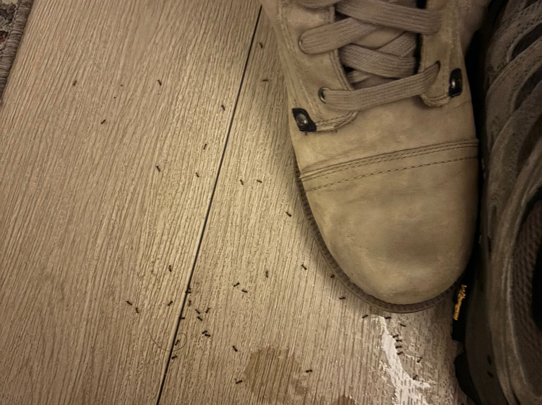 Days Inn By Wyndham Vernon主图