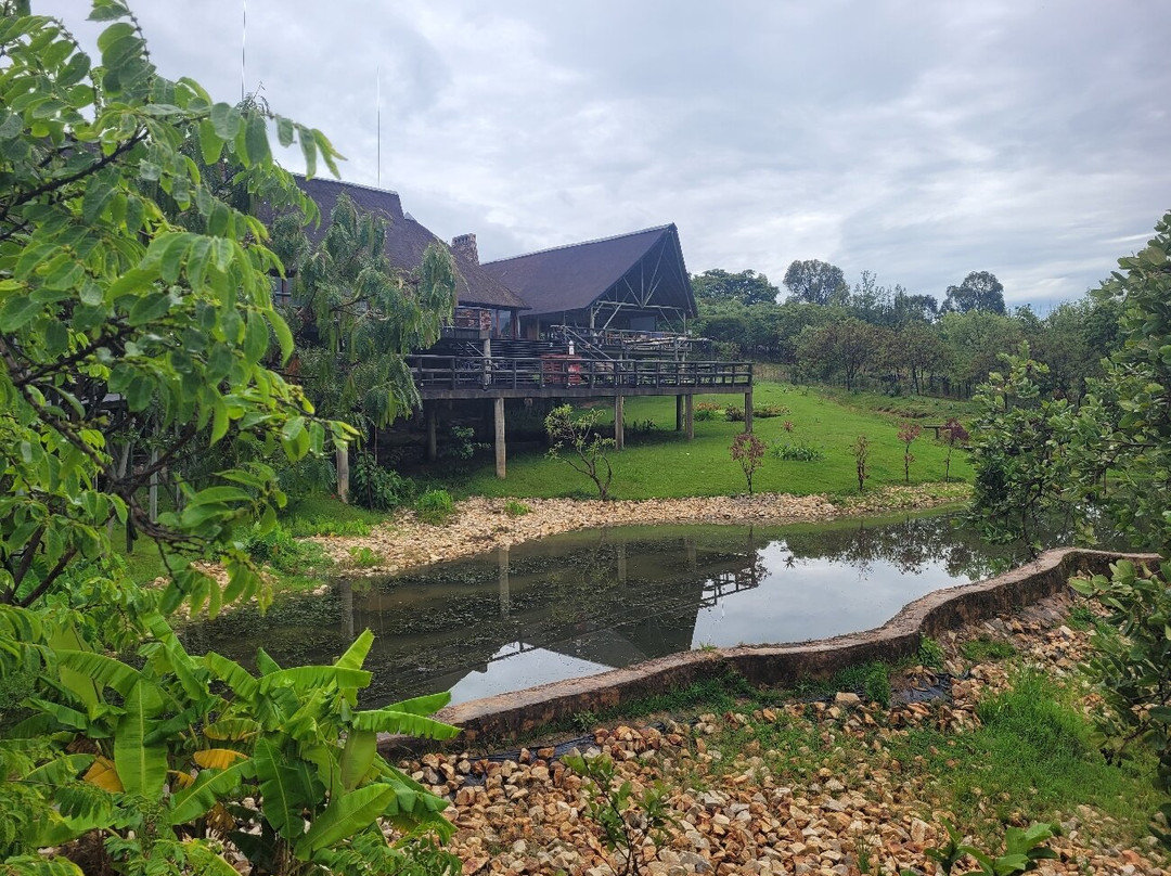 Pululukwa Resort主图