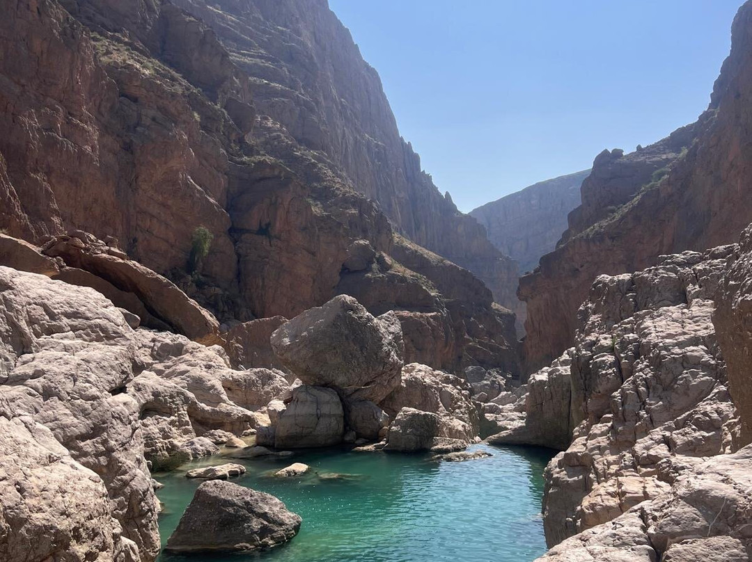 Bediyah Safari Tours景点图片