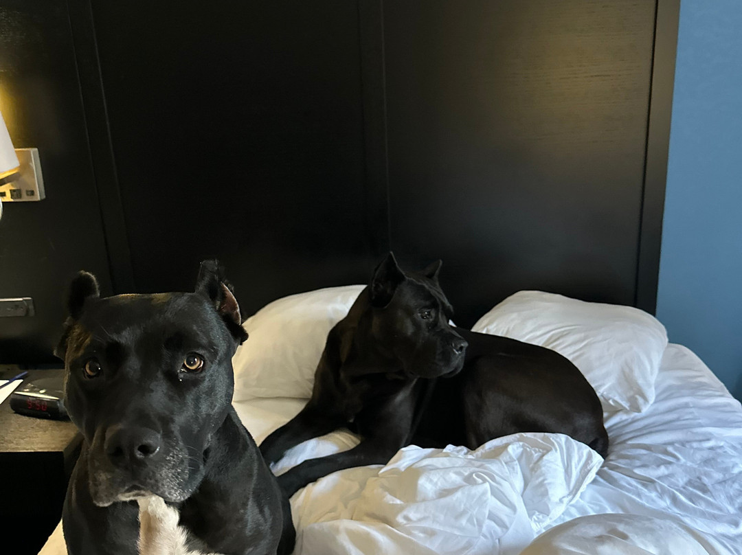 大学凯富酒店主图