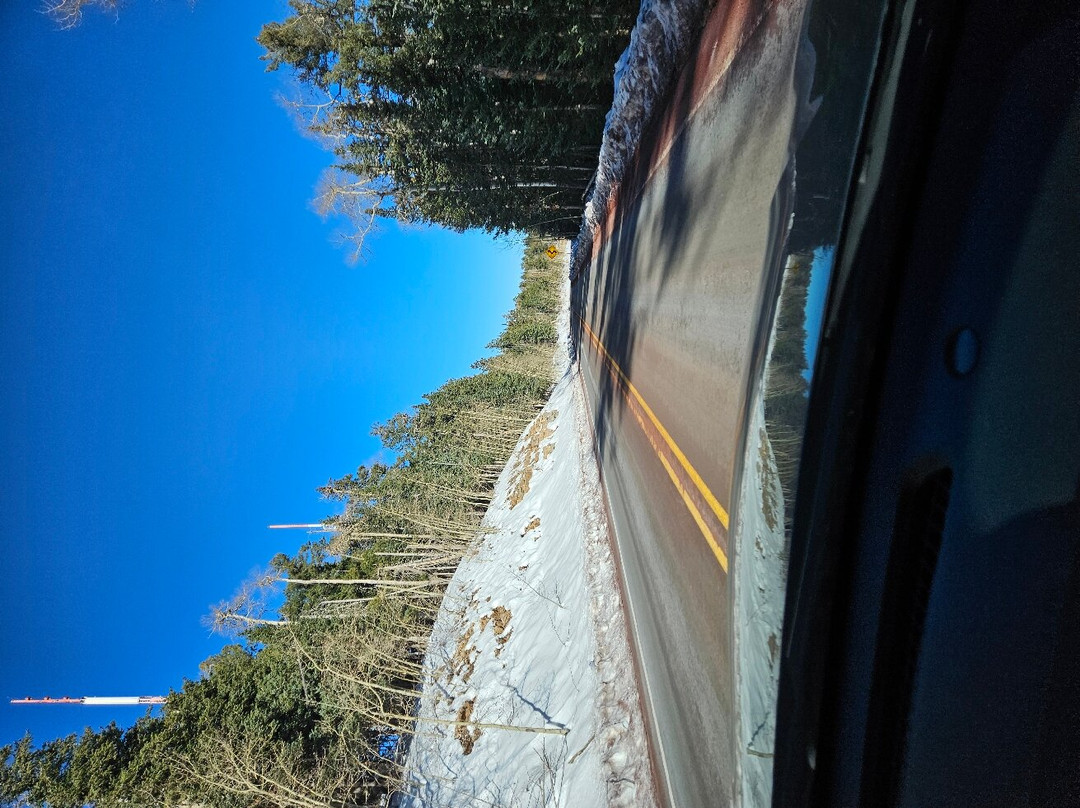 Sandia Crest Highway-Sandia Park必去景点