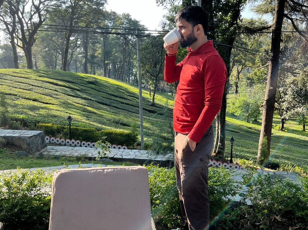 Infinitea Dakbunglow Palampur主图