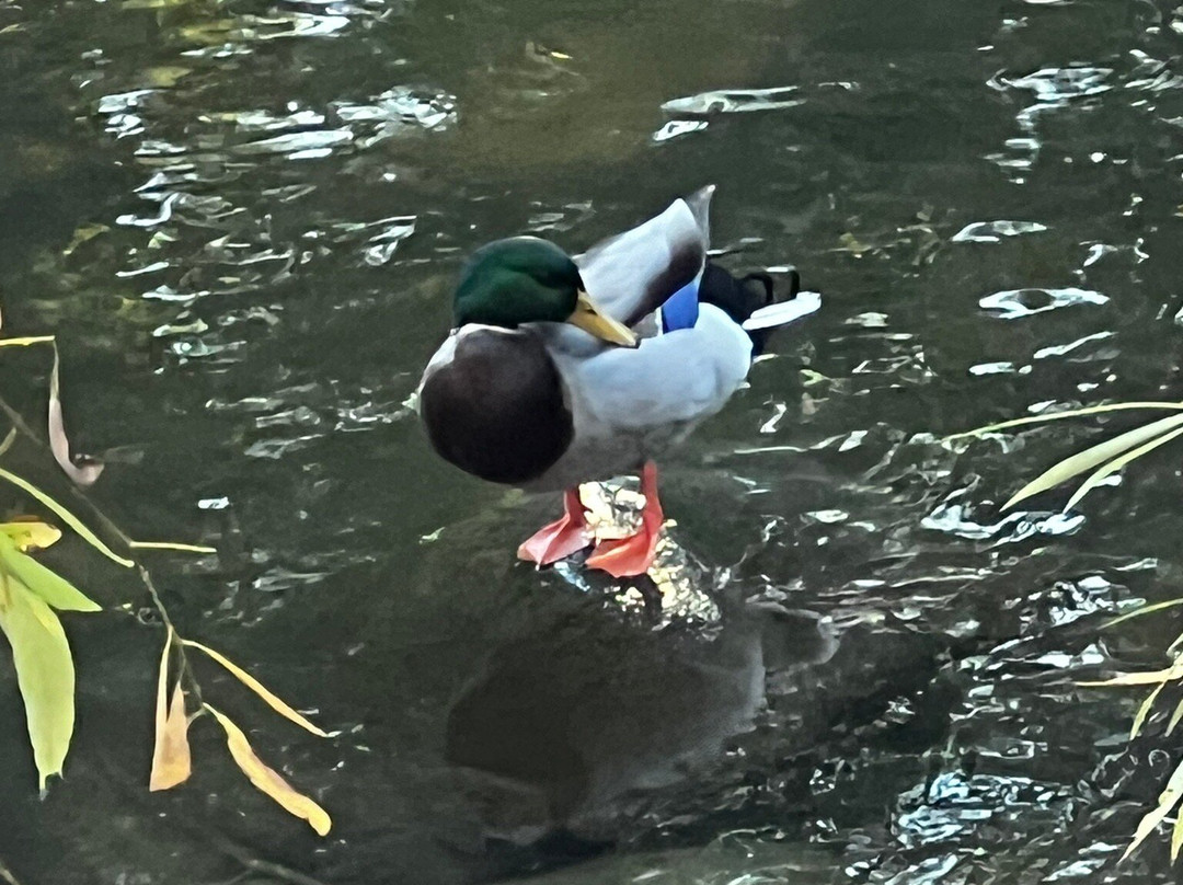 猫溪小径-圣何塞必去景点