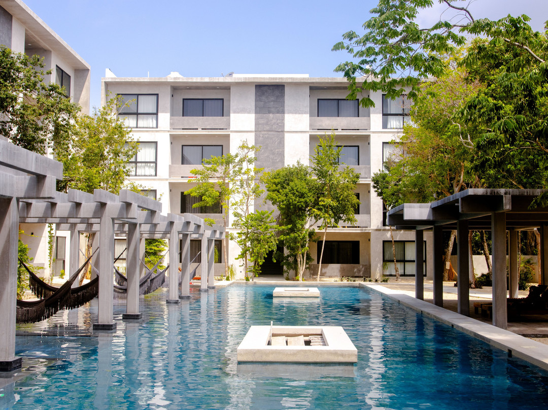 Cenotes Casa Tortuga主图