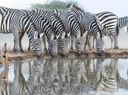 MSG Touristic Kenya-蒙巴萨必去景点
