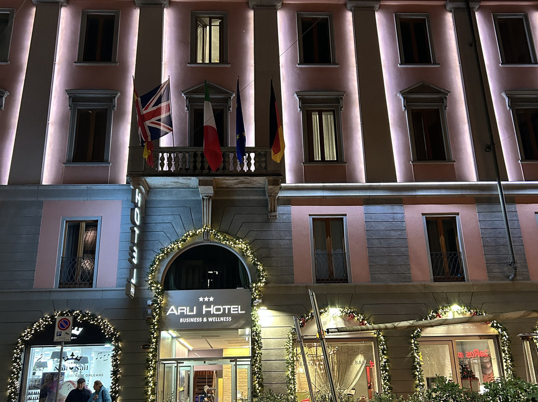 Arli Hotel Business & Wellness主图