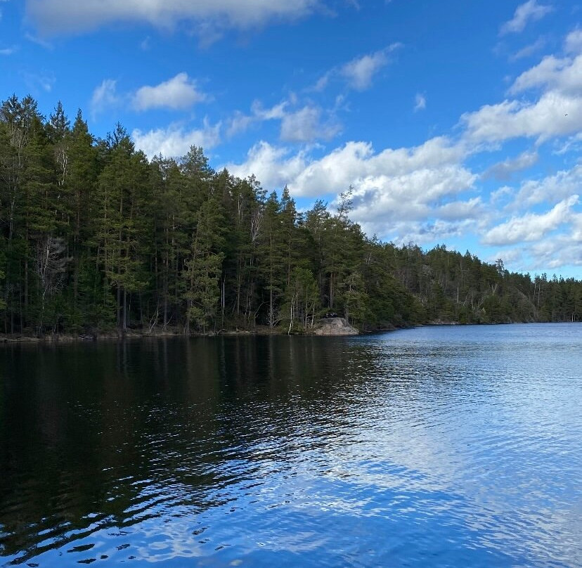 Tyresta National Park景点图片