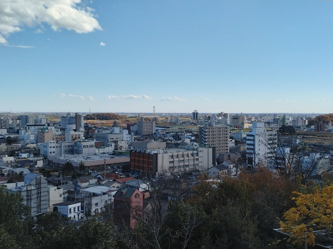 Ashikaga Orihime Jinjya-足利市必去景点