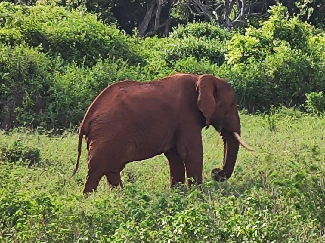 Kenya Trip Safaris-Gede必去景点