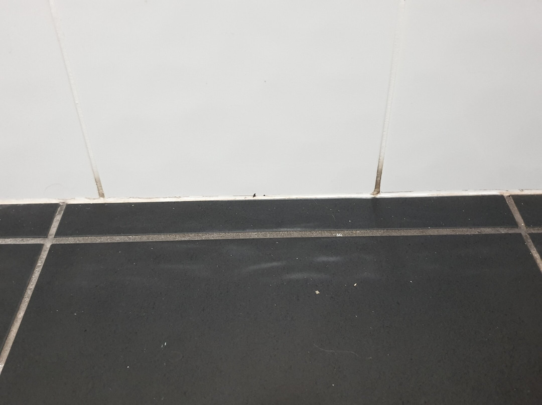 Nambour Central Motel主图