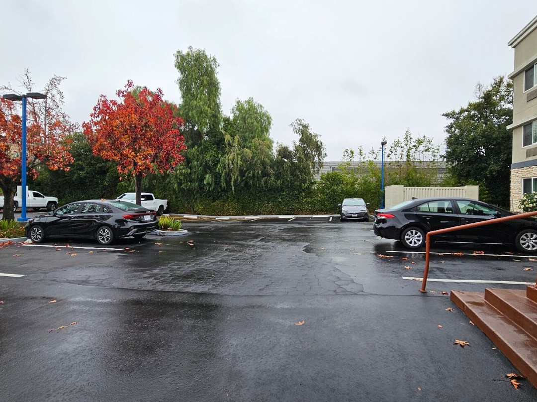 Holiday Inn Express Sunnyvale - Silicon Valley By IHG主图