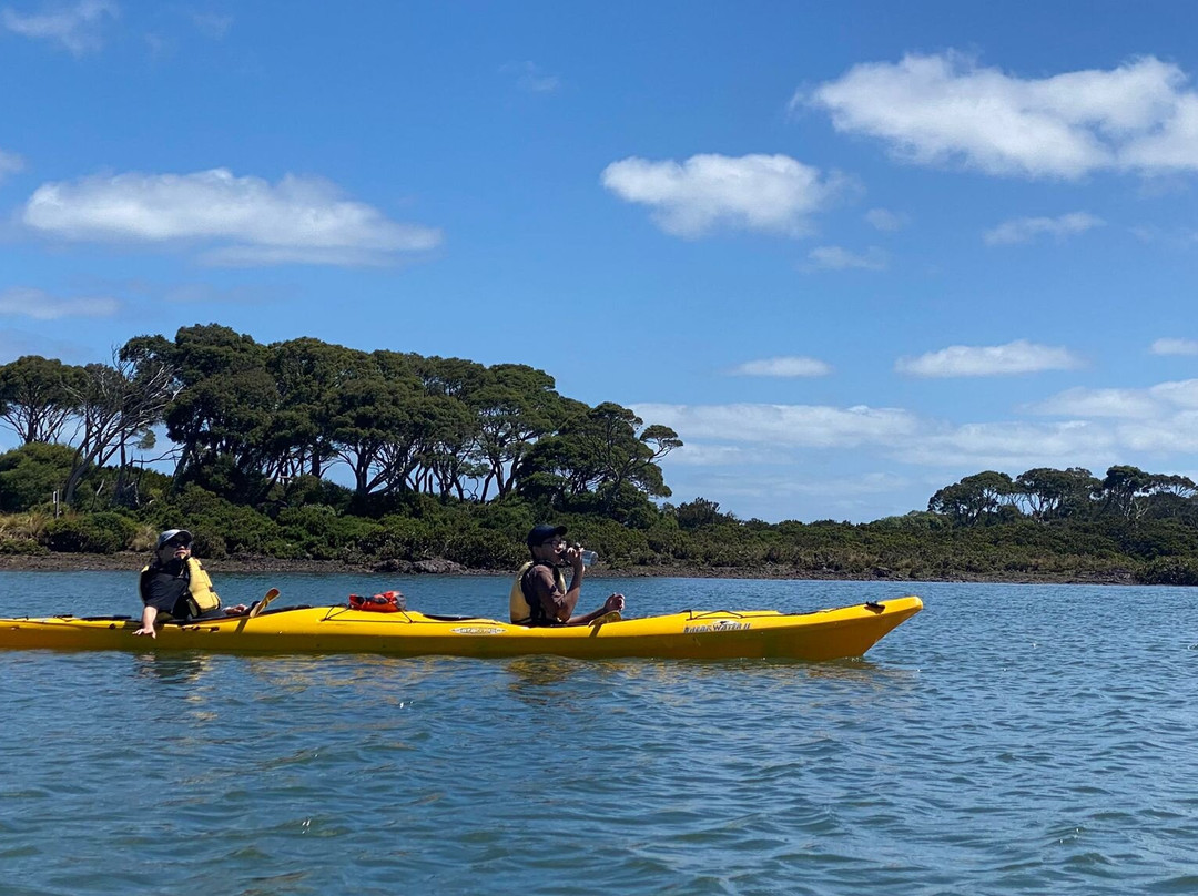 Pioneer Kayaking- Tours-考斯必去景点