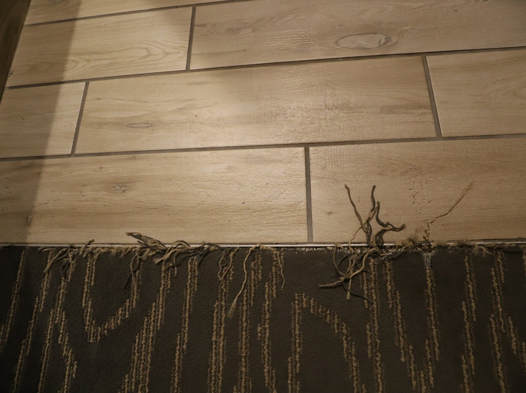 鲍威尔湖拉金塔套房酒店主图