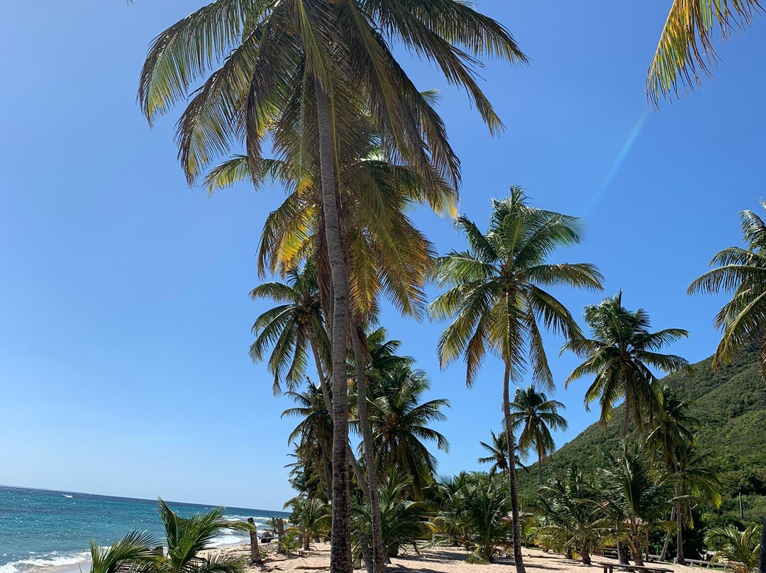 Location 2000-Beausejour必去景点