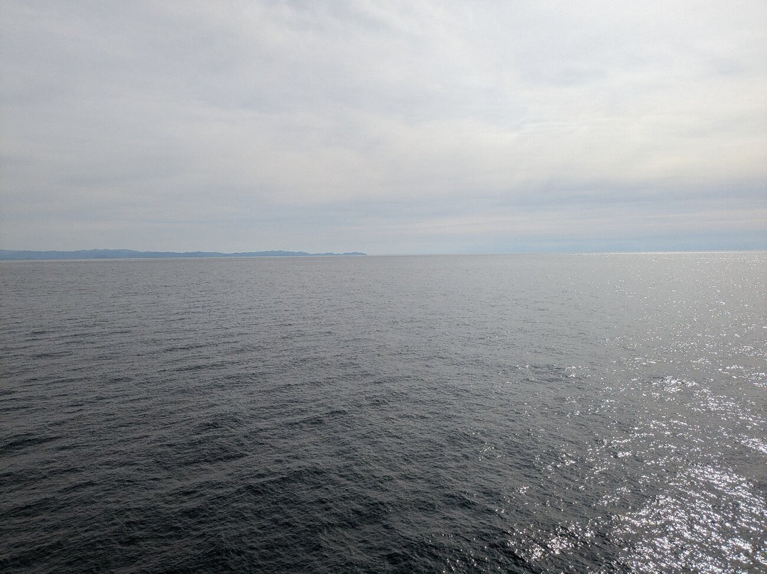 Nankai Ferry-和歌山市必去景点