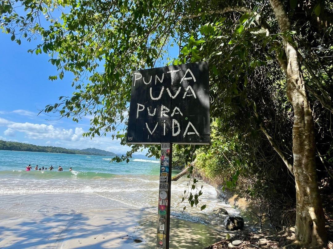 Playa Punta Uva景点图片