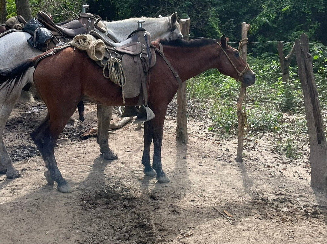Parque Nacional Natural Tayrona-Puerto Colombia必去景点