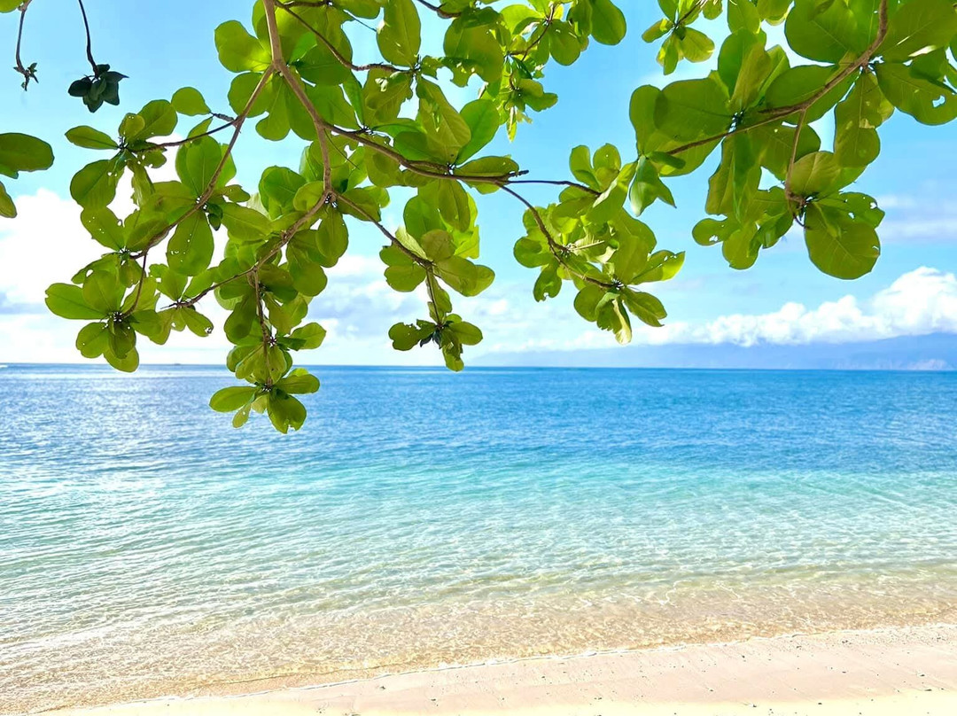 Lawigan Beach-比斯利格必去景点