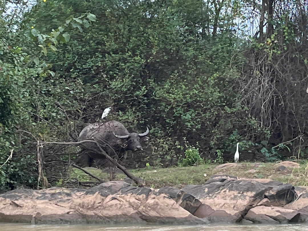 Yok Don National Park-Ea Huar必去景点