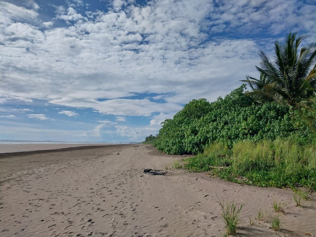 Las Lajas Beach Resort-泳池