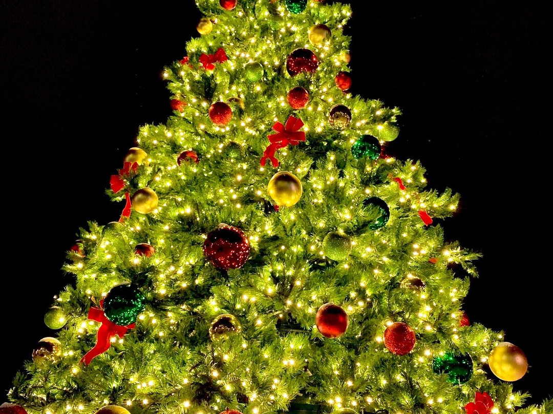 Grand Forks Town Square-大福克斯必去景点