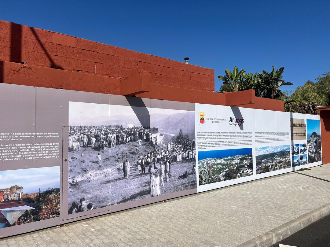 Mirador de Arucas景点图片