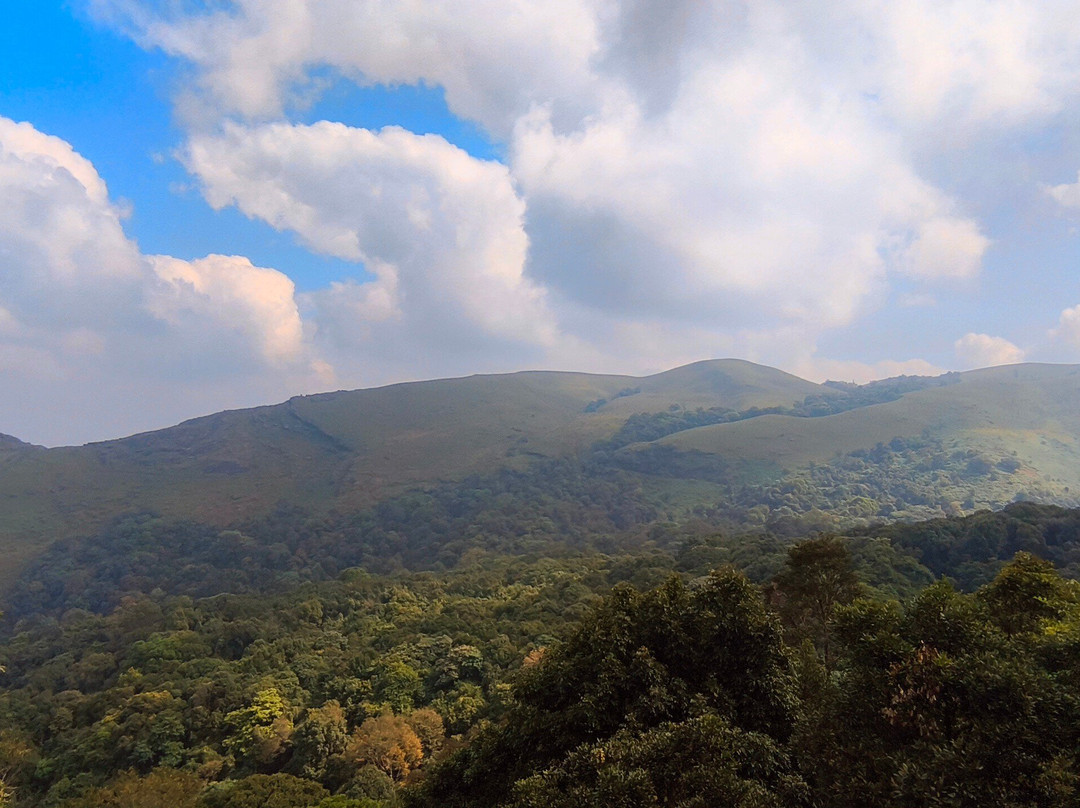 Kemmangundi Peak景点图片