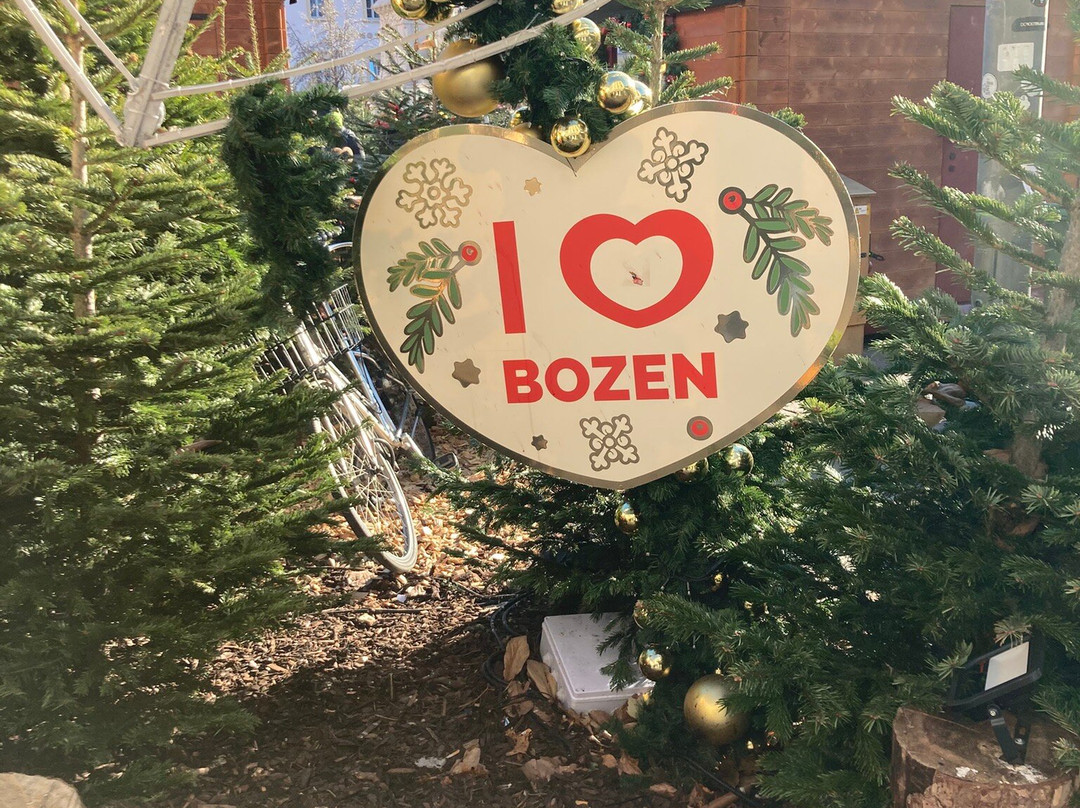 Bolzano Christmas Market景点图片