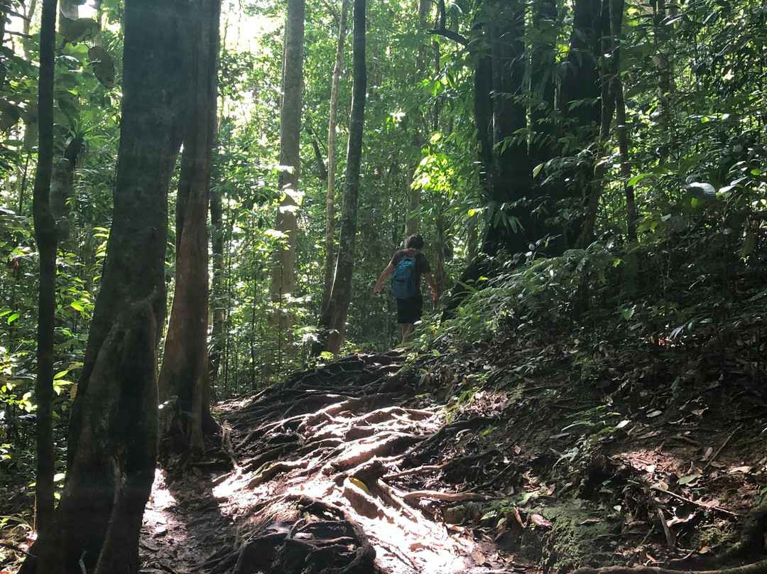 Saut des Trois Cornes-Sainte Rose必去景点