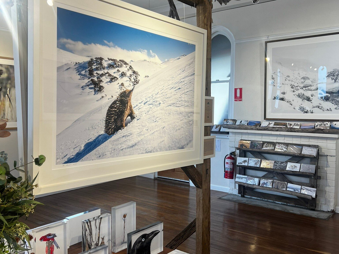 Charles Davis Photography Gallery-Cooma必去景点