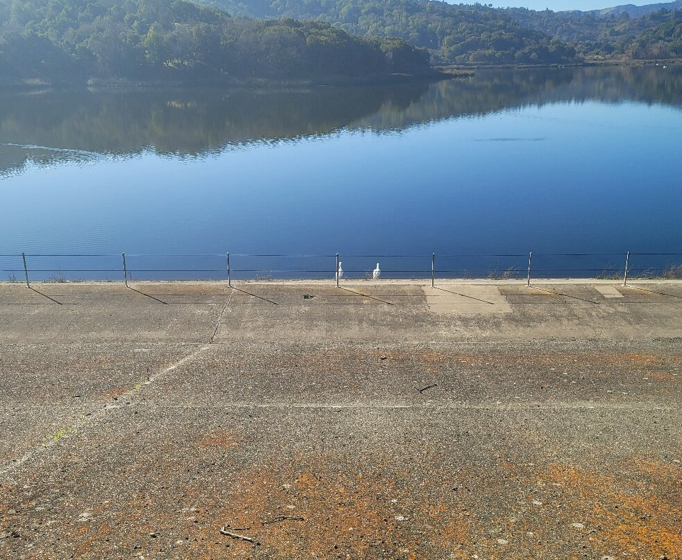 Lafayette Reservoir-Lafayette必去景点