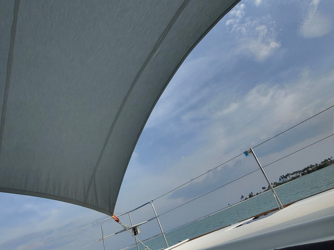 Simpson Yacht Charter景点图片