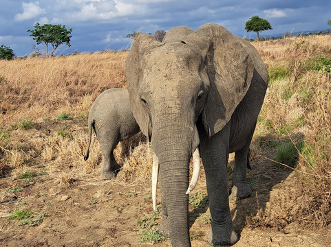 Flygetaways Travel Company-Dar es Salaam必去景点