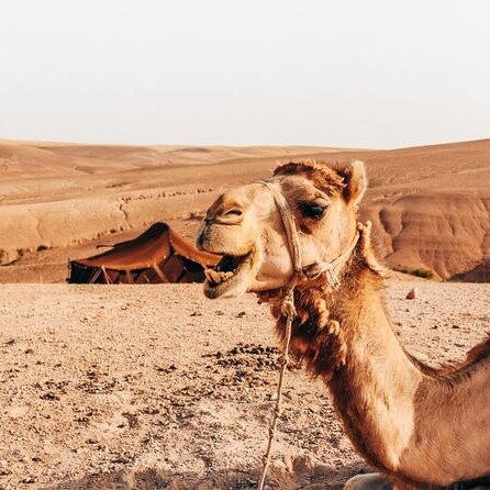 BOOK ME IN TRAVEL MARRAKECH