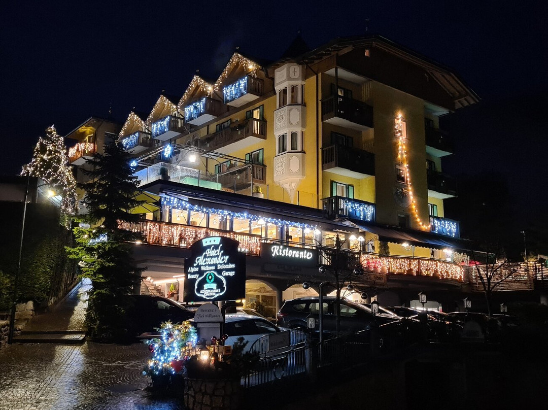 Alexander Hotel Alpine Wellness Dolomites主图